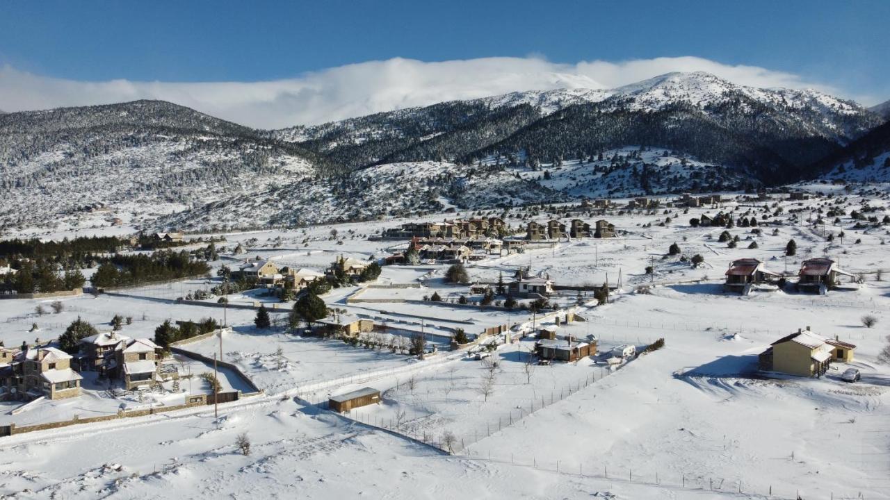Chalet Renata 2 Livadi Arachovas Kalívia Exteriör bild